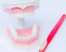 ADDC Oral Hygiene Cleaning of dentures